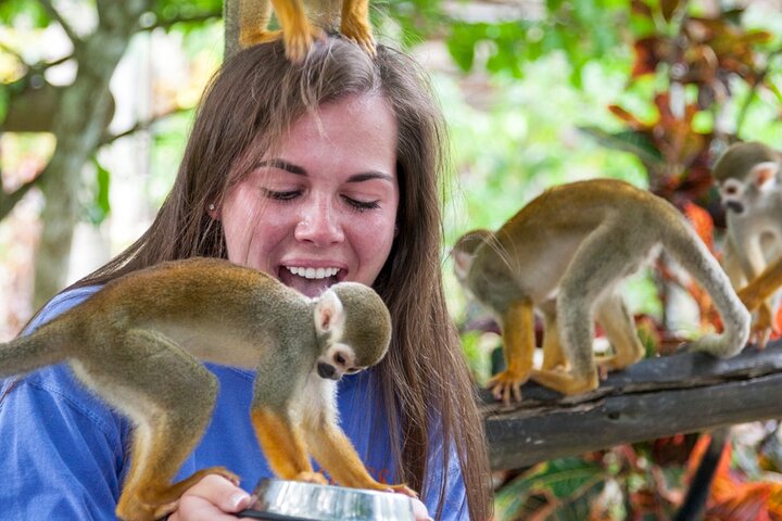 Monkeyland Samana Shared Adventure