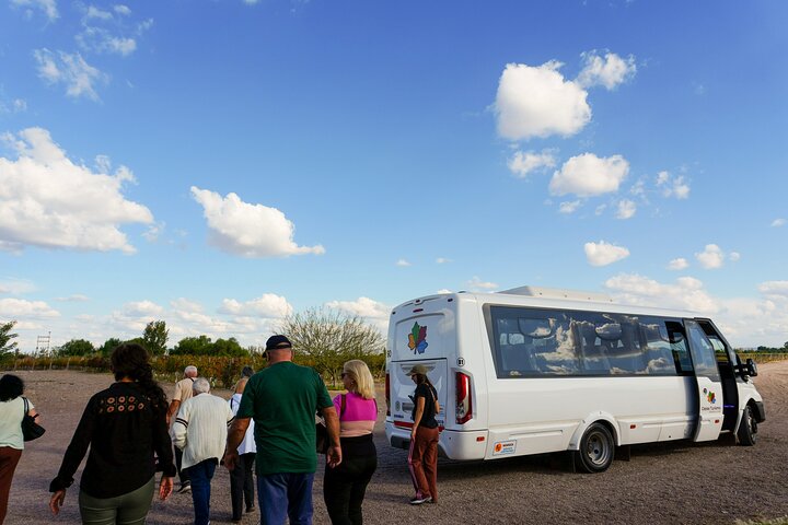 Tour of 3 Wineries and Olive Trees with Tastings