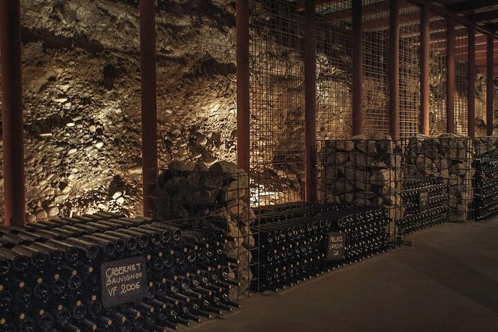 Tour of 3 Wineries and Olive Trees with Tastings