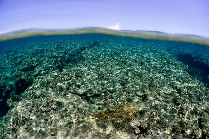 Discover Kerama Nationalparc Snorkeling 1/2 Day