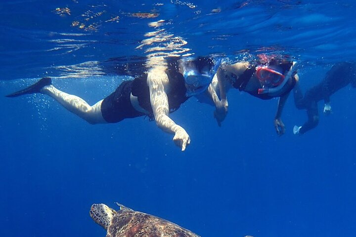 Discover Kerama Nationalparc Snorkeling 1/2 Day