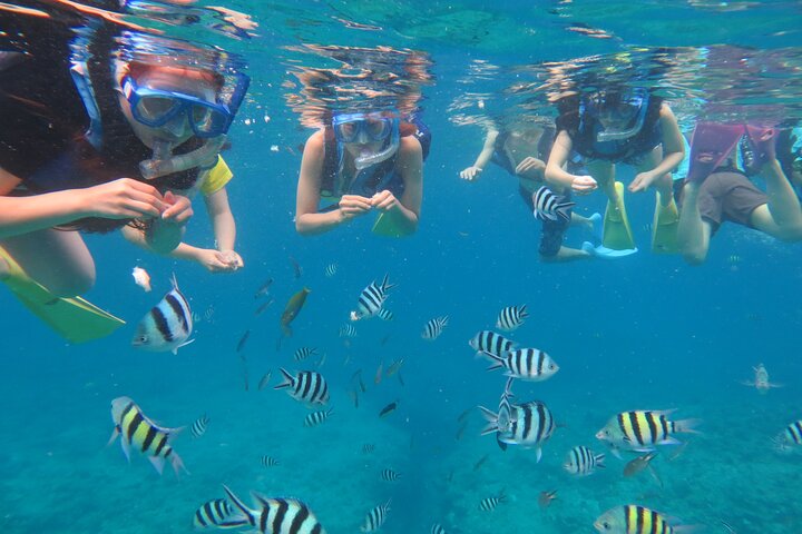 Discover Kerama Nationalparc Snorkeling 1/2 Day