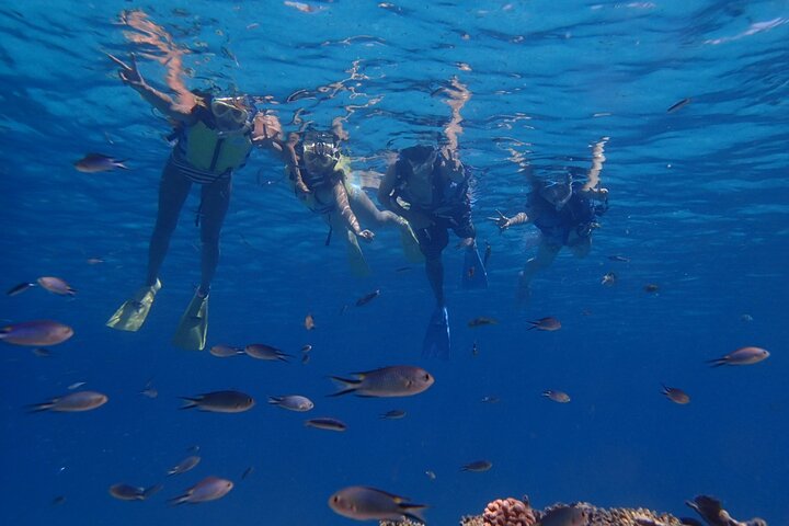 Discover Kerama Nationalparc Snorkeling 1/2 Day
