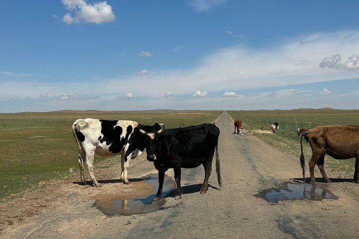 Huhhot Inner Mongolia 3 Days Xilamuren kubuqi Desert Nature Tour