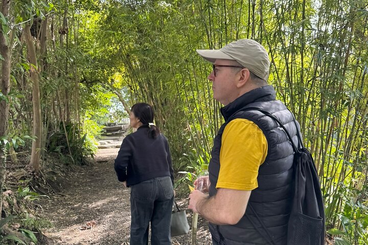 Private Kagoshima: Gardens, Shrines & Observatory by Expert Guide