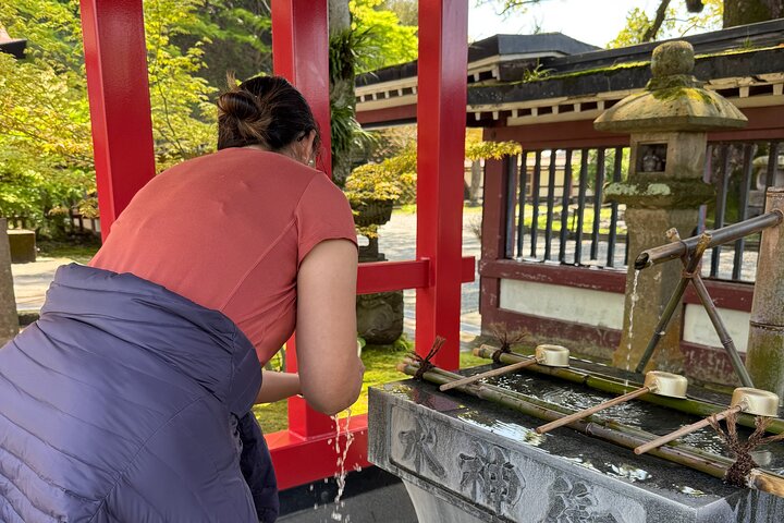Private Kagoshima: Gardens, Shrines & Observatory by Expert Guide