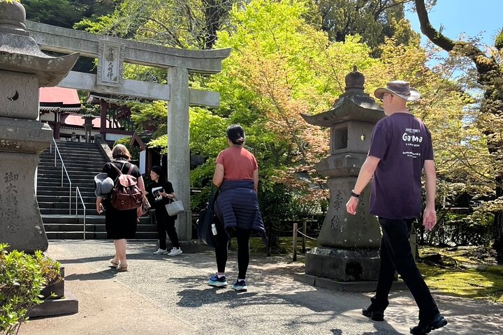 Private Kagoshima: Gardens, Shrines & Observatory by Expert Guide