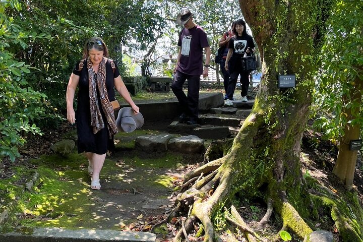 Private Kagoshima: Gardens, Shrines & Observatory by Expert Guide