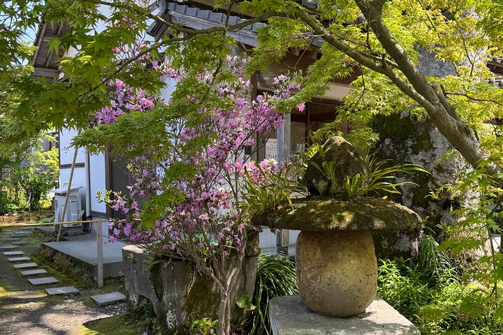 Private Kagoshima: Gardens, Shrines & Observatory by Expert Guide