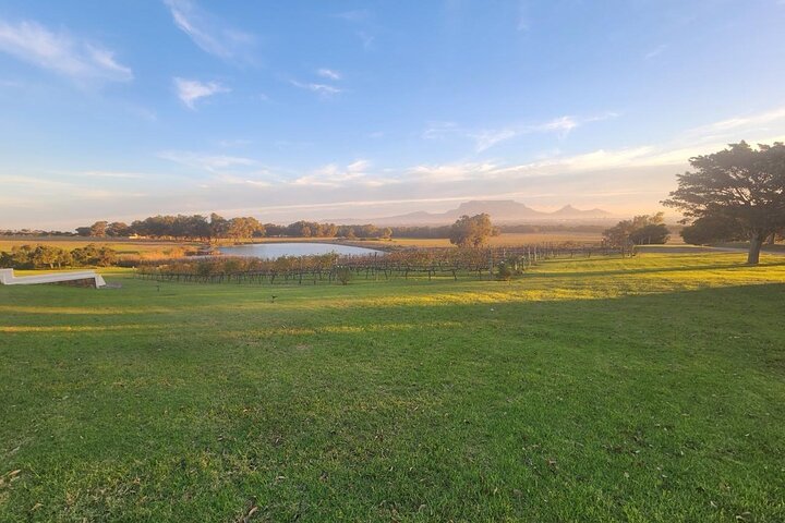 Stellenbosch, Franschhoek, Paarl 15 Wine Tasting Private Tour