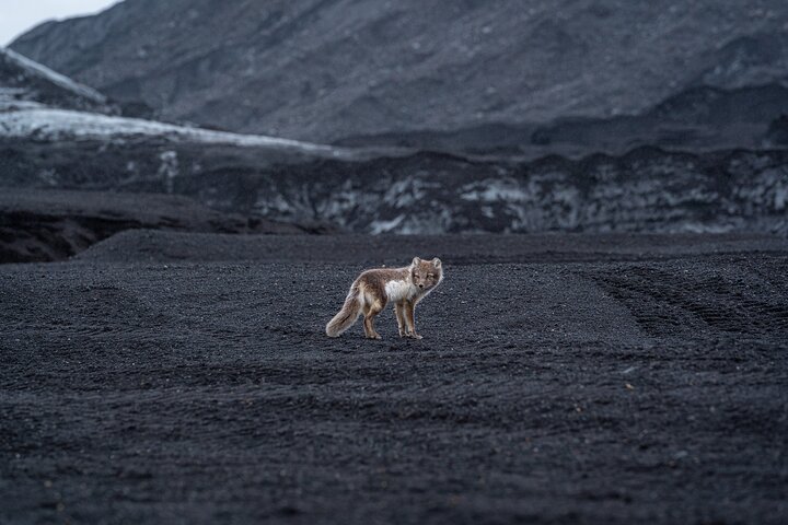 Katla Volcano Ice Cave - Super Jeep Tour from Vik