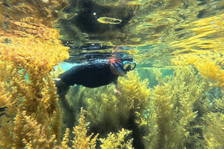 Nha Trang Half-Day Snorkeling Adventure at Marine Park with BBQ