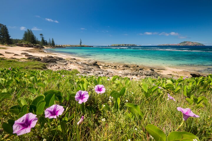Island Orientation Package incl. Return Airport Transfers & Tour