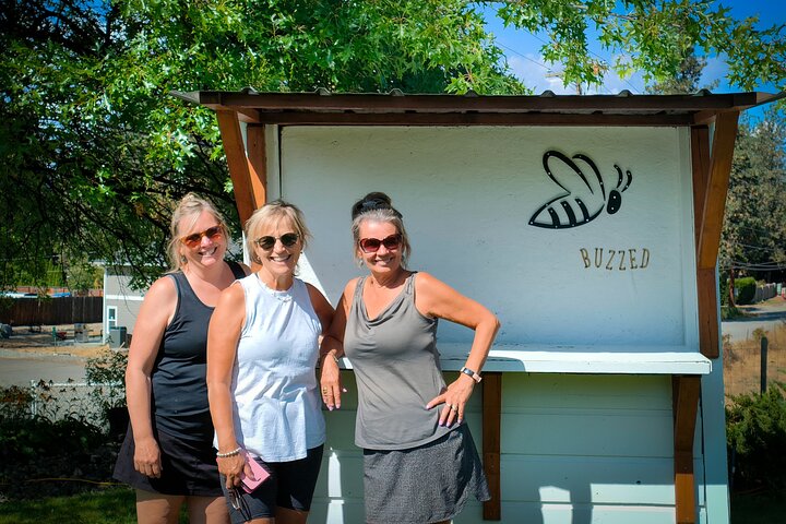 Kelowna Wine Tour by E-Bike with Tastings, Lunch & Okanagan Views
