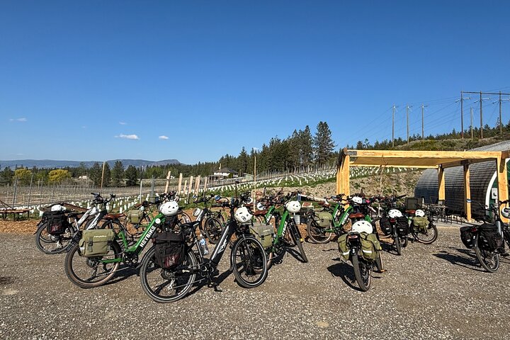 Kelowna Wine Tour by E-Bike with Tastings, Lunch & Okanagan Views