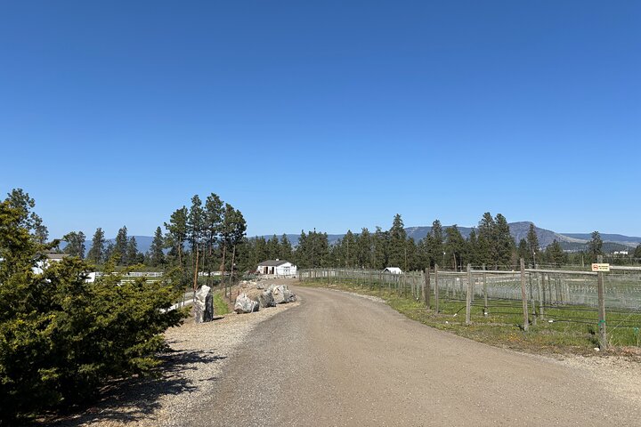 Kelowna Wine Tour by E-Bike with Tastings, Lunch & Okanagan Views