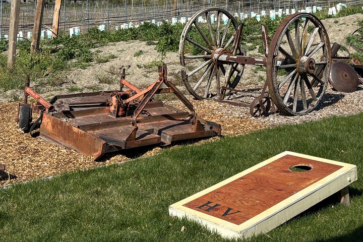 Kelowna Wine Tour by E-Bike with Tastings, Lunch & Okanagan Views