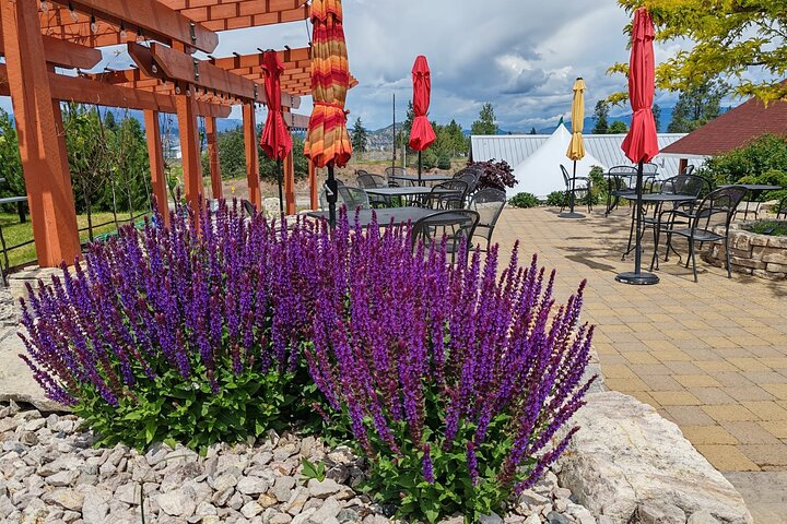 Kelowna Wine Tour by E-Bike with Tastings, Lunch & Okanagan Views