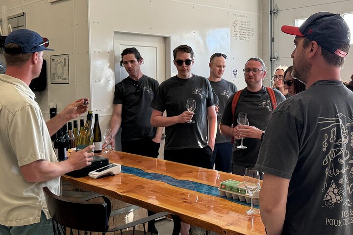 Kelowna Wine Tour by E-Bike with Tastings, Lunch & Okanagan Views