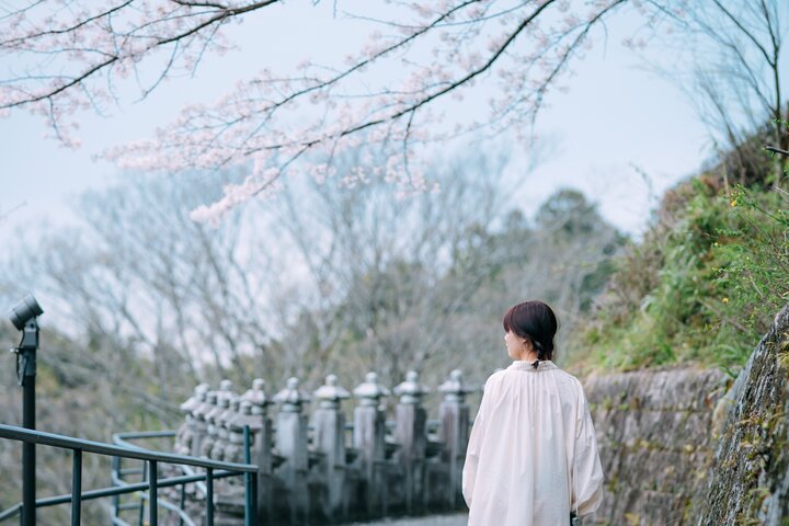 Discover the Timeless Charm and Natural Beauty of Nara