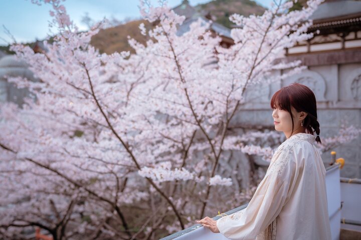 Discover the Timeless Charm and Natural Beauty of Nara