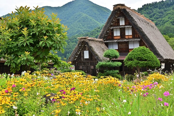 Shirakawago & Takayama Bus Tour from Nagoya w/Optional Lunch