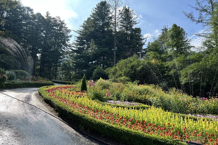 [Private Tour] Nami Island+Morning calm Garden+Petite France