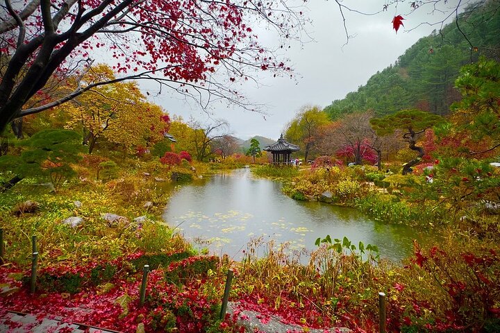 [Private Tour] Nami Island+Morning calm Garden+Petite France