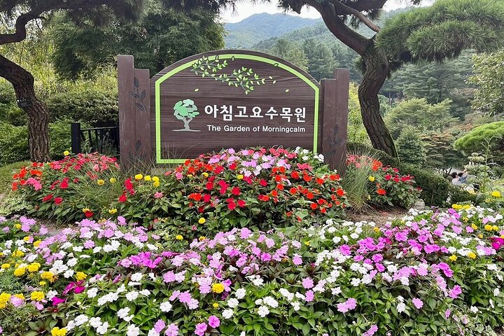 [Private Tour] Nami Island+Morning calm Garden+Petite France