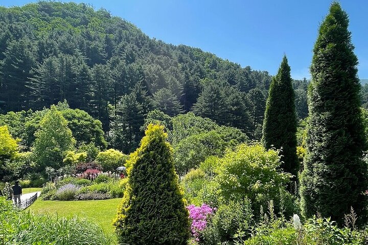 [Private Tour] Nami Island+Morning calm Garden+Petite France