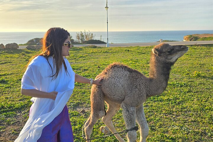 Explore Tangier: Cape Espartel, caves and camel ride.