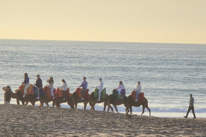 Explore Tangier: Cape Espartel, caves and camel ride.