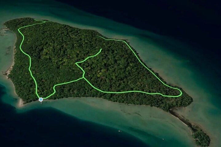 Power Island Guided Jetski Tour