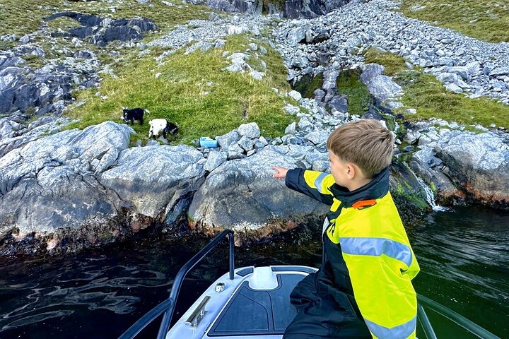 Stavanger: Guided Lysefjord Safari on Speedboat