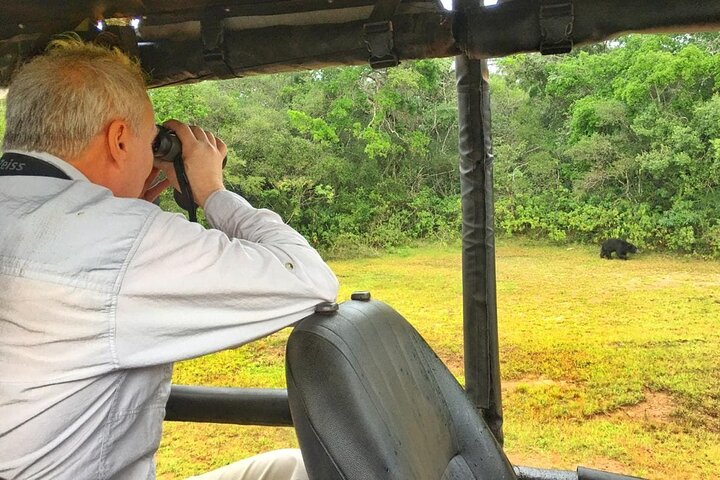Wilpattu Wild Safari Day Trip - Private & All Inclusive