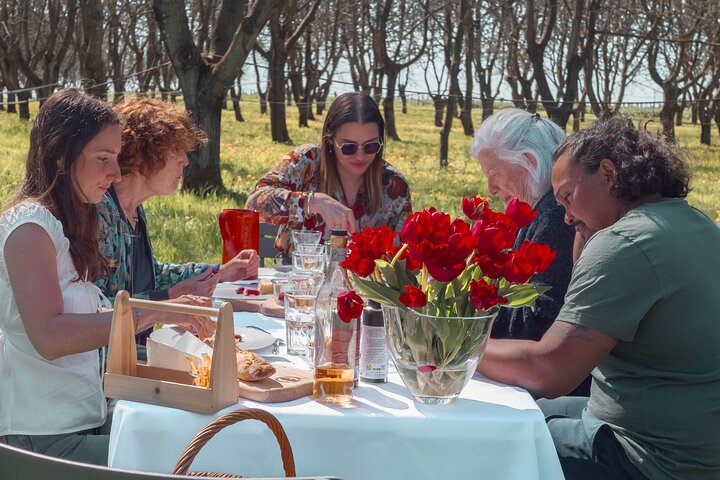 Lunch in the Shadow of the Walnuts, with Wine tasting tour