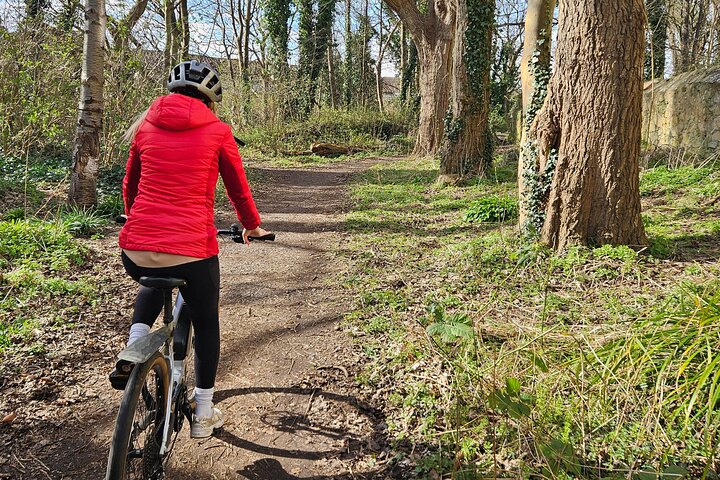 St Andrews: The Ultimate Bike and E Bike Tour - See Much More