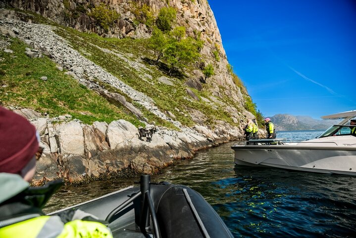 Stavanger: Guided Lysefjord Safari on Speedboat