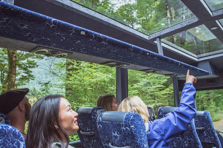 Milford Sound Coach and Cruise tour from Queenstown