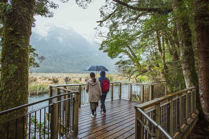 Milford Sound Coach and Cruise tour from Queenstown