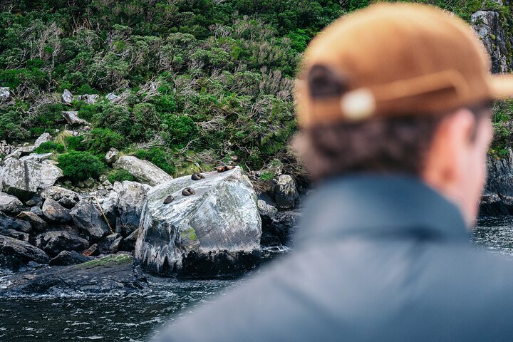 Milford Sound Coach and Cruise tour from Queenstown