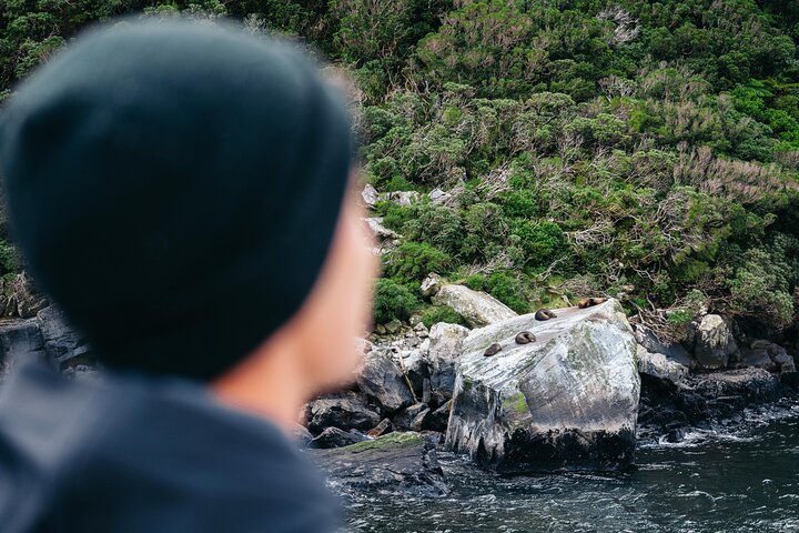 Milford Sound Cruise
