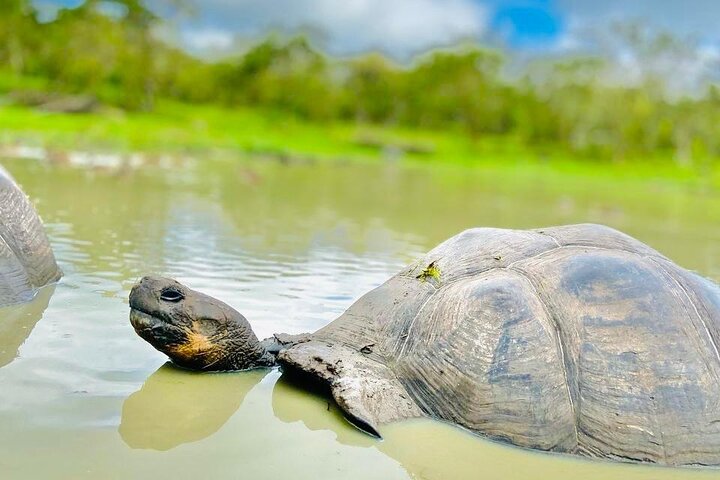 "Galapagos Discovery Premium – Bay Tour - 4 Days / 3 Nights"