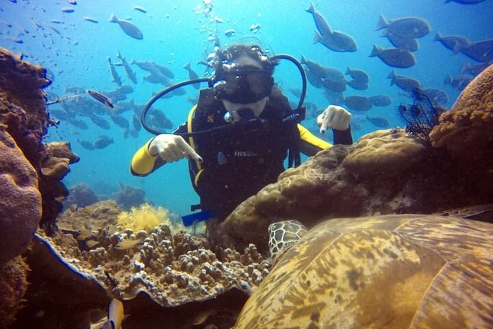 Semporna: 3-Dive Mataking Leisure Underwater Explorations