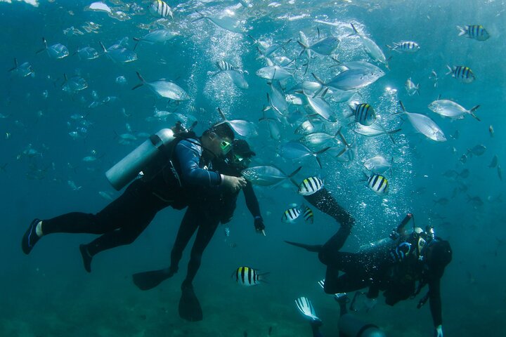 Semporna: 3-Dive Mataking Leisure Underwater Explorations