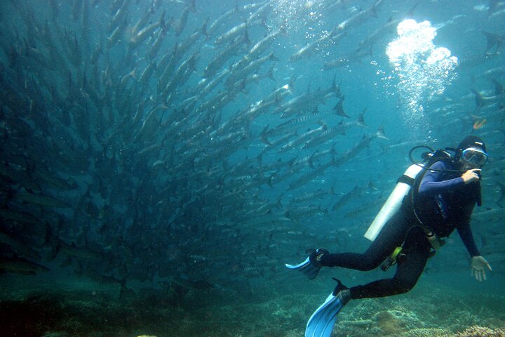 Semporna: 3-Dive Mataking Leisure Underwater Explorations