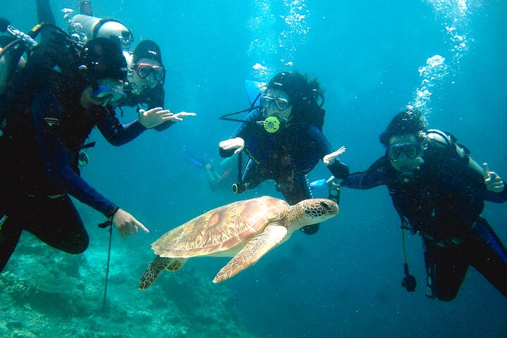 Semporna: 3-Dive Mataking Leisure Underwater Explorations
