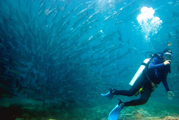 Semporna: 3-Dive Mataking Leisure Underwater Explorations