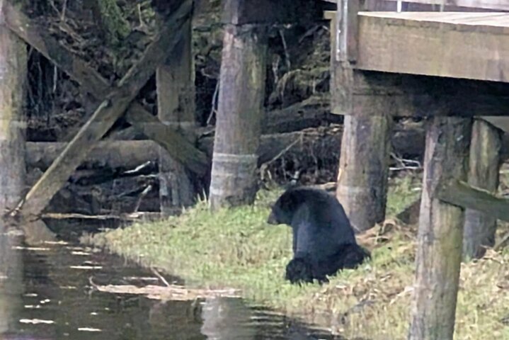 Ketchikan All In One