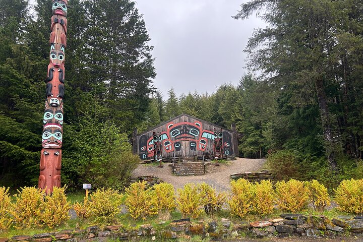 Alaska Wildlife Safari and Sightseeing Tour